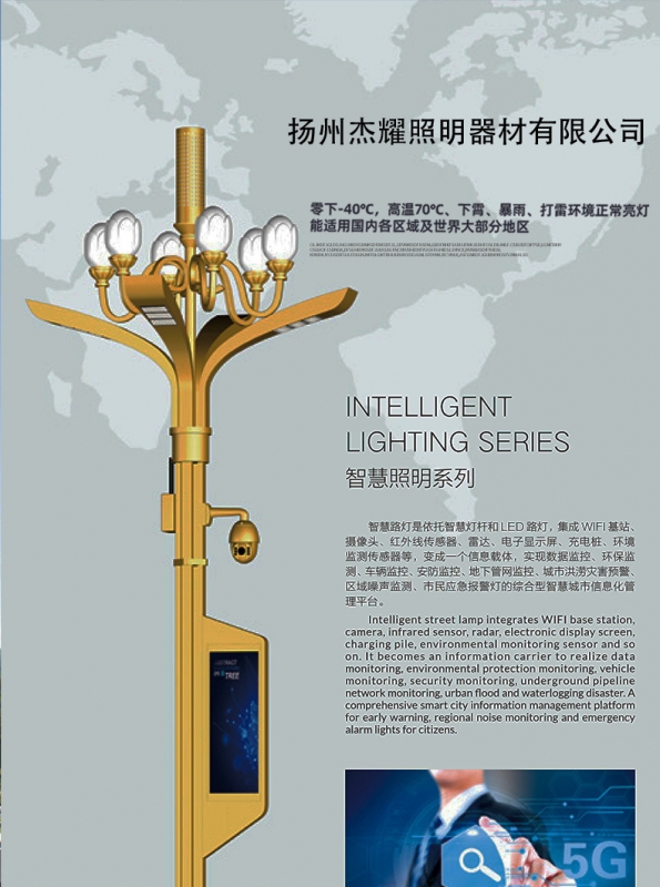 上海批发大型led玉兰灯 户外广场市政工程道路景观灯 八叉九火玉 兰灯